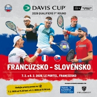 Davis Cup FRA - SVK
